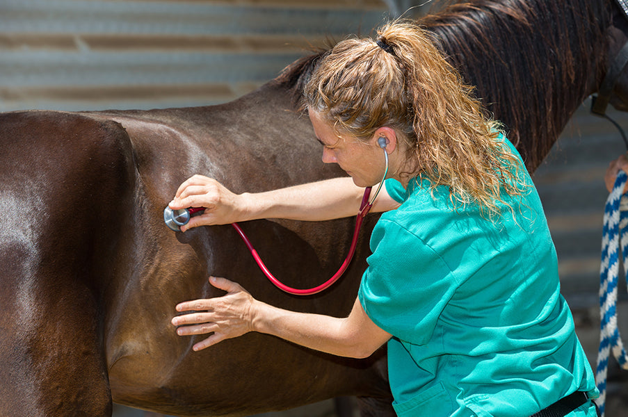 Are There Different Types of Colic?