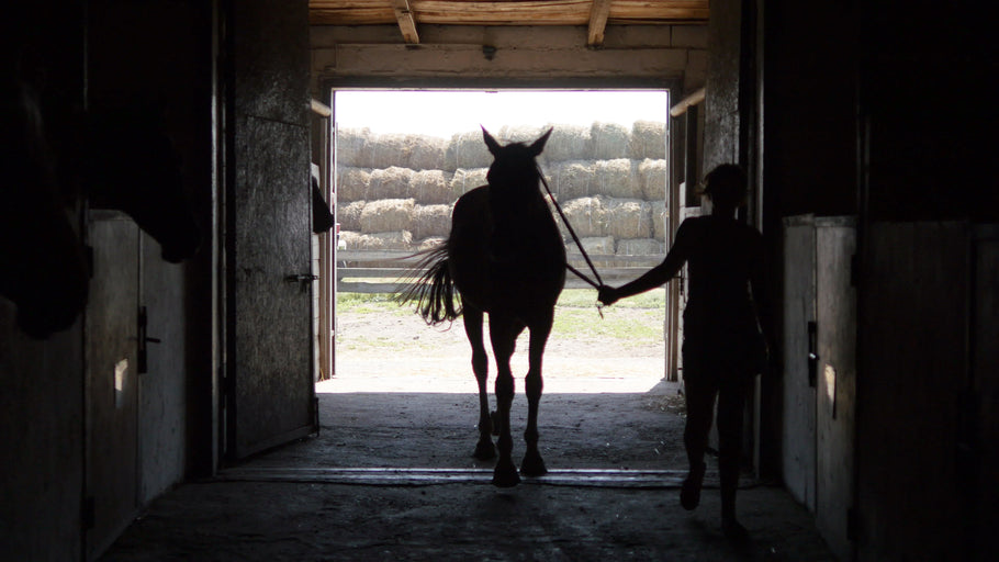 8 Rainy Day Activities, But Still Horse-y