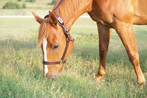 Celebrating Colic Awareness Month