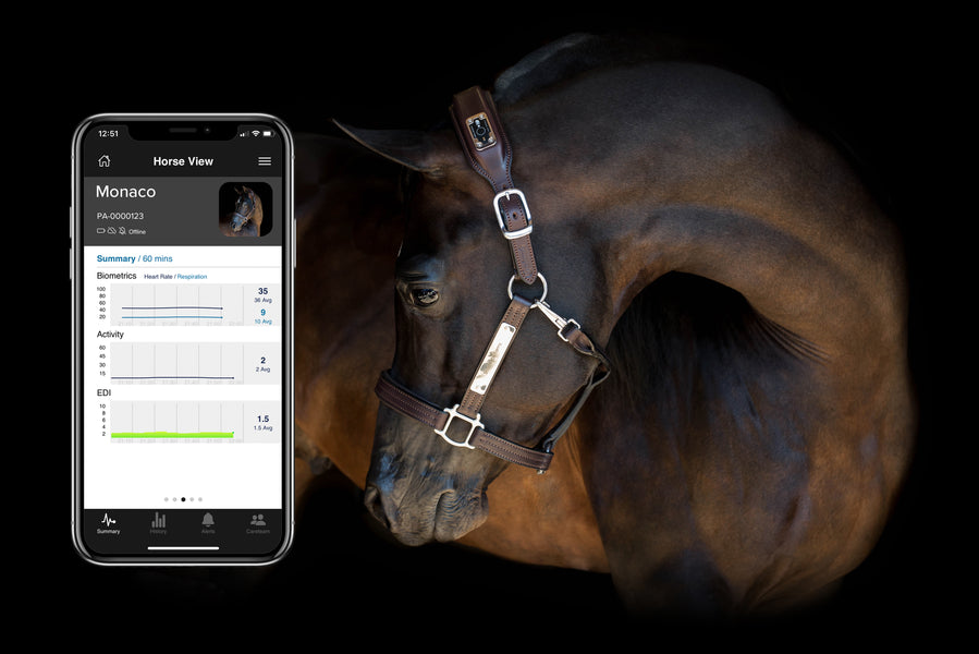 NIGHTWATCH® Partners with US Equestrian