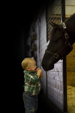 National Day of the Horse