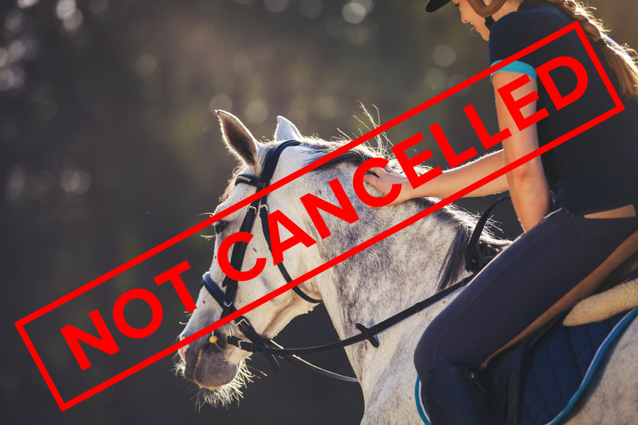 Loving Horses is NOT Cancelled