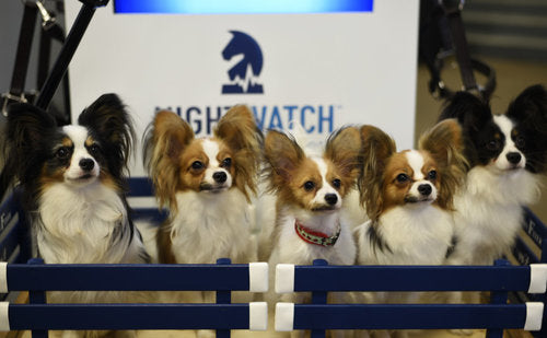 On The Road with the NIGHTWATCH® Team