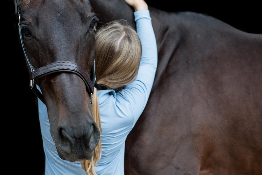 Celebrating Our Horses